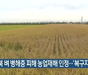 전북 벼 병해충 피해 농업재해 인정..'복구 지원'