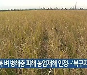 전북 벼 병해충 피해 농업재해 인정..'복구 지원'