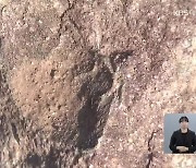 부여에서 9년 만에 공룡알 추정 화석 또 발견