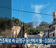 건조특보 속 금정구 윤산에서 불..3,000㎡ 소실