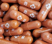 셀트리온·한미약품, MSD '먹는 코로나19' 치료제 복제약 생산