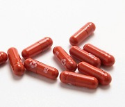 셀트리온·한미약품, 미 머크사 '먹는 코로나19 치료제' 생산 맡는다