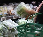 Korea's produce price index up 9% on yr in Dec