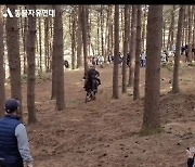 '태종 이방원' 낙마 촬영하던 말 사망, KBS "촬영 방법에 문제 있어..책임 통감·사과"