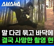 [스브스뉴스] 현장에 있던 사람에게 이야기를 들어봤습니다