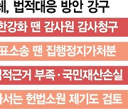 [단독] 대표訴 땐 헌법소원..재계 법적대응 '강수'