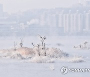 절기상 대한..소양강은 겨울왕국