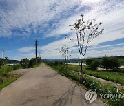 파주시, 공릉천변 1km에 가로숲길 조성 추진