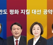 [국민채점단] 한반도 평화 이끌 '대북정책' 공약, 점수는?