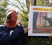동물권단체, '태종 이방원' 제작진 동물학대 고발