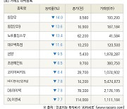 [fnRASSI]장마감, 거래소 하락 종목(동양우 -14.0% ↓)