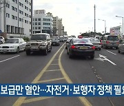 "자동차 보급만 혈안..자전거·보행자 정책 필요"