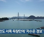 고흥반도 서쪽 득량만에 '저수온 경보' 발령