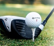Centroid to refinance TaylorMade Golf buyout loans at lower costs