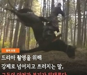 동물자유연대 "'태종 이방원' 동물보호법 위반 고발장 오늘(21일) 제출"[직격인터뷰]