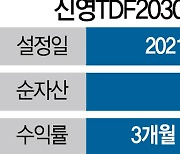 [펀드줌인] '신영TDF' 전세계 우수한 펀드만 쏙쏙..6개월 수익률 1위