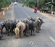 Cambodia Daily Life