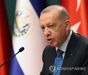 터키 에르도안 "러시아·우크라이나 분쟁 받아들일 수 없어"