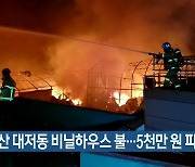 부산 대저동 비닐하우스 불..5천만 원 피해