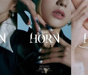 에이핑크, 2월 14일 'HORN'으로 컴백..'손나은 포함' 로고 이미지 공개