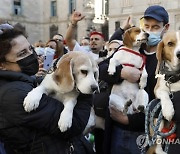 SPAIN ANIMALS PROTEST