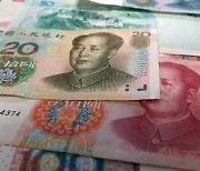 중국경제 소득 불평등 심각.."재분배정책 난항 겪을 것"