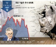 "기술주 시장 혼란 계속될 것"..연준 '1월 FOMC'에 달려