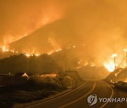 고속도로 따라 번지는 미 캘리포니아 산불..주민 대피령