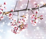 [박혜진의 엔딩노트 <46>] 겨울의 기억을 품은 채 봄처럼 피어나는 3월의 눈