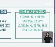 대선 후보들, '대형 지역 공약' 없다