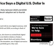 BoA "미국 2025년~2030년 사이에 디지털 달러 발행한다"