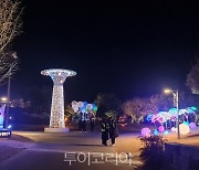 겨울명소 '순천만국가정원 별빛산책'에서 힐링