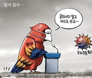 [박용석 만평] 1월 25일