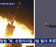 북한, 순항미사일 2발 발사..내륙서 상당 시간 비행