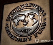 IMF-Global Economy