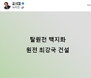 [특징주] 尹 "탈원전 백지화" 공약에 원전주 들썩