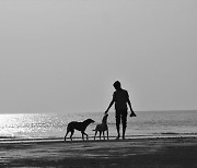 "무조건 성장하는 산업" 반려동물 시장에 투자해볼까_돈쓸신잡 #30