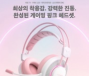 앱코, 게이밍 헤드셋 'N800 PINK' 정식 출시