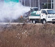 "야생조류에서 새로운 유형의 고병원성 조류인플루엔자 첫 확진"