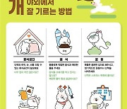 경기도,'농촌 실외사육견 중성화수술'지원..올해 2,200마리 대상