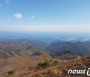 국립공원·공영동물원 '특별방역관리'..온라인 관람 콘텐츠도 제공