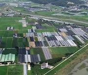 경남 산청군, 농업소득증대 지원사업 25억원 투입