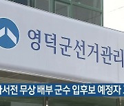 자서전 무상 배부 군수 입후보 예정자 고발