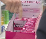 자가검사키트 품귀 현상..정부, "매점매석·가격교란 엄정 대응"