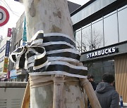 Call for justice over trees 'poisoned' near Starbucks drive-thru