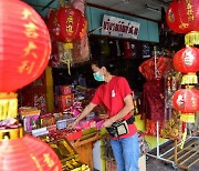 Lunar New Year spending seen at 11-year low - survey