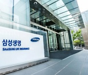 IMM Credit Solution buys heiress' stake in Samsung Life Insurance