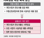 [단독]'개인사업자 마통' 한도대출로 집 사는 '꼼수대출' 막는다