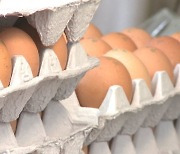 계란 유통업단체, 계란이력제 전자입력 반대 시위 예고