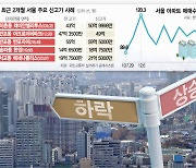 상승·하락지표 혼재에 이상거래 착시효과까지..부동산시장 혼란